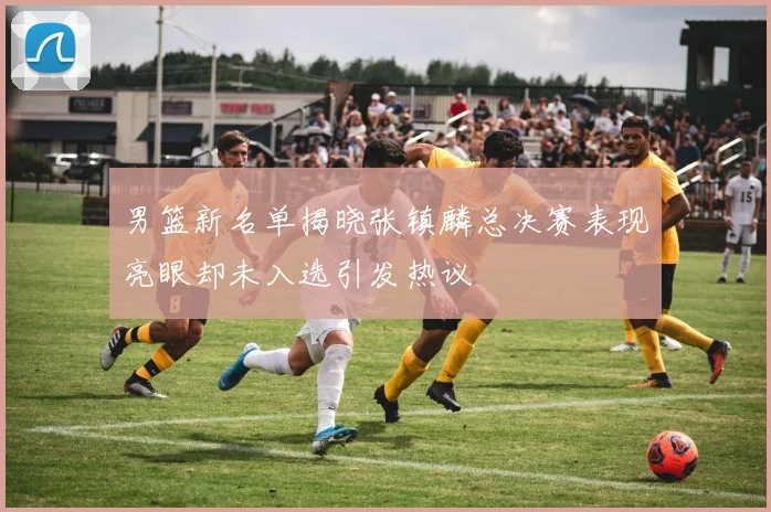 男篮新名单揭晓张镇麟总决赛表现亮眼却未入选引发热议
