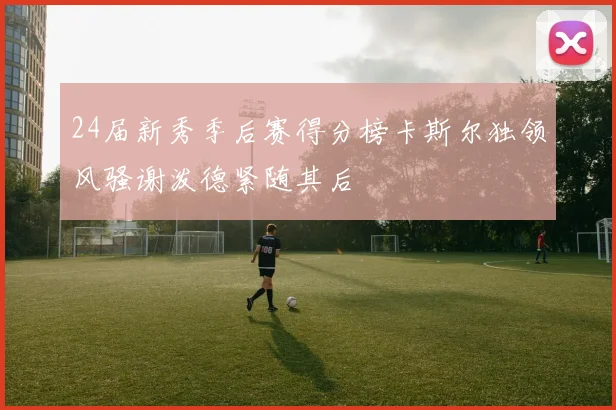 24届新秀季后赛得分榜卡斯尔独领风骚谢泼德紧随其后