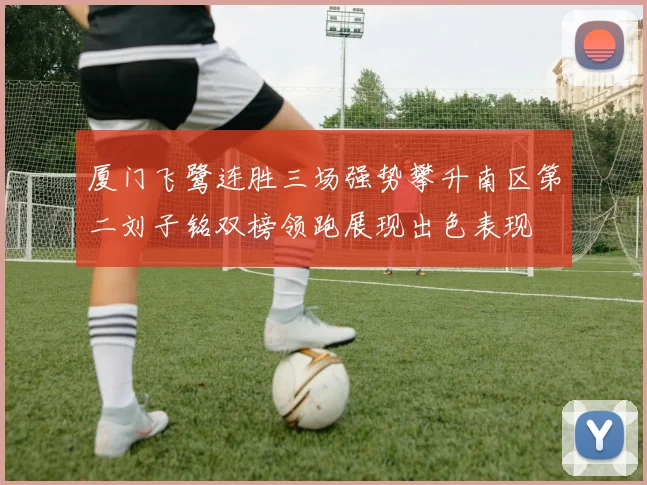 厦门飞鹭连胜三场强势攀升南区第二刘子铭双榜领跑展现出色表现